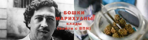 тгк Белокуриха