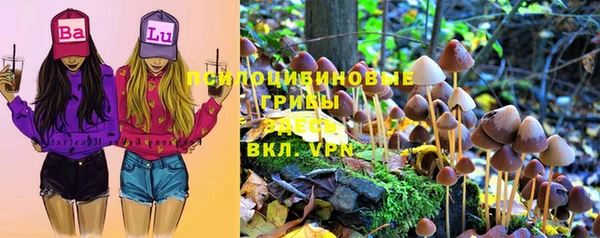 СК Беломорск