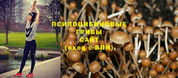 тгк Белокуриха