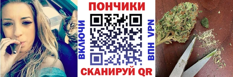 мега зеркало  Свободный  Бошки марихуана индика 